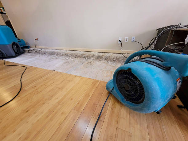 Professional Flood Damage Cleanup technician working in Maplewood, MO